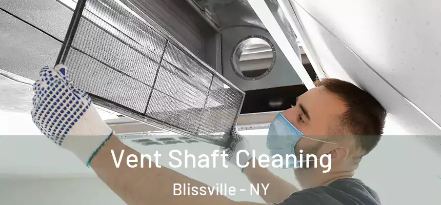 Vent Shaft Cleaning Blissville - NY