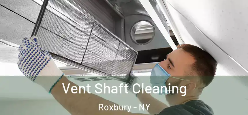 Vent Shaft Cleaning Roxbury - NY