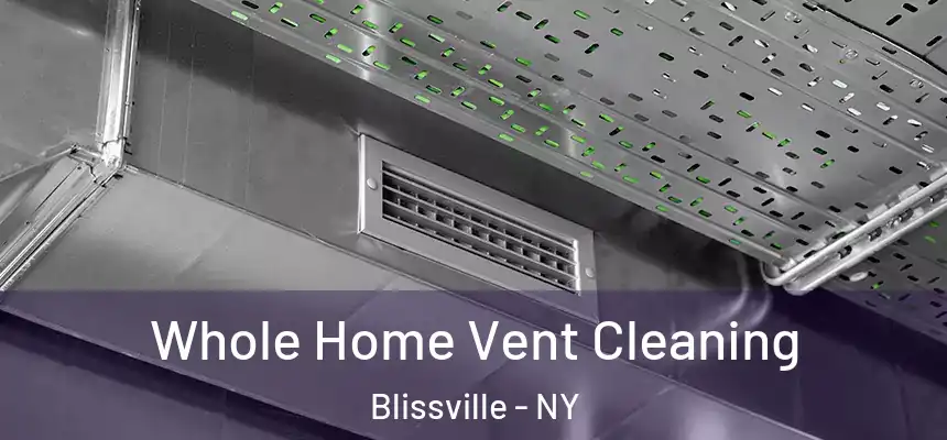  Whole Home Vent Cleaning Blissville - NY